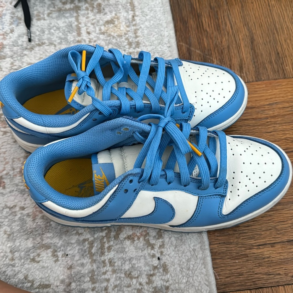 Low Coast Dunks
